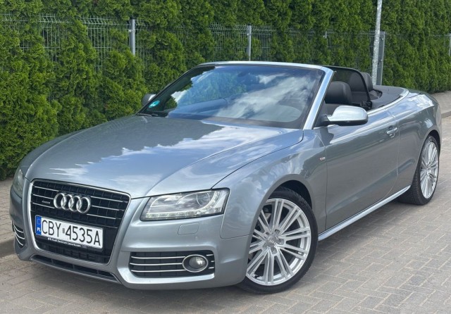 audi