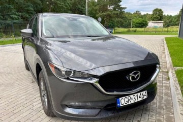 Zarejestrowany *Stan bdb * gotowy do jazdy