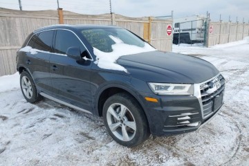 2020 rok Premium Plus *VIRTUAL  *Już w Polsce !